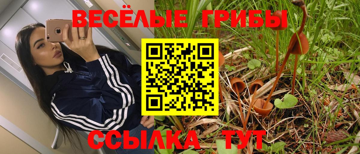 Псилоцибиновые грибы Cubensis Киселёвск