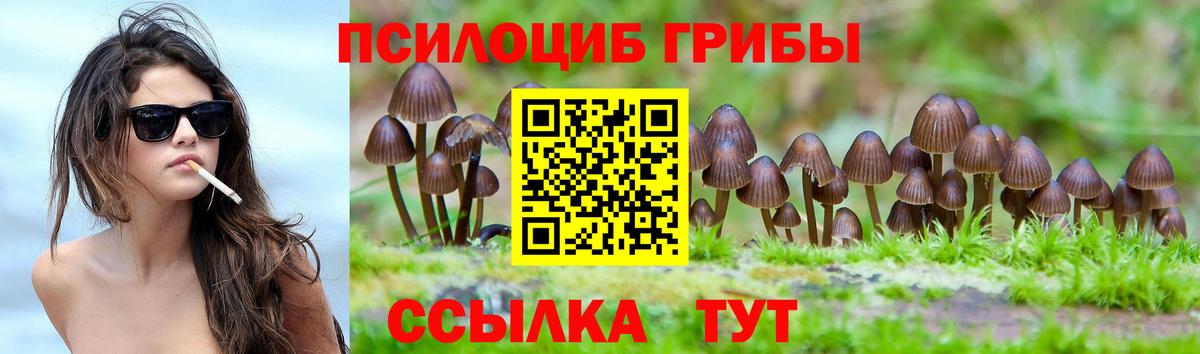 Галлюциногенные грибы мицелий  Вход с VPN  Галлюциногенные грибы мицелий  Киселёвск 