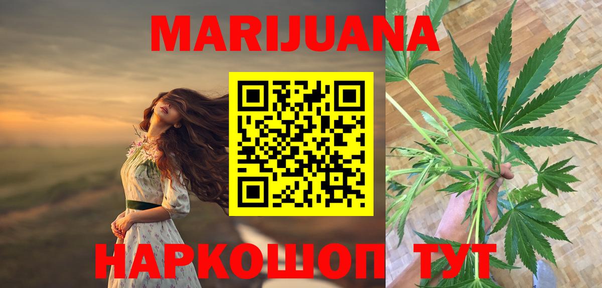 Конопля конопля Киселёвск